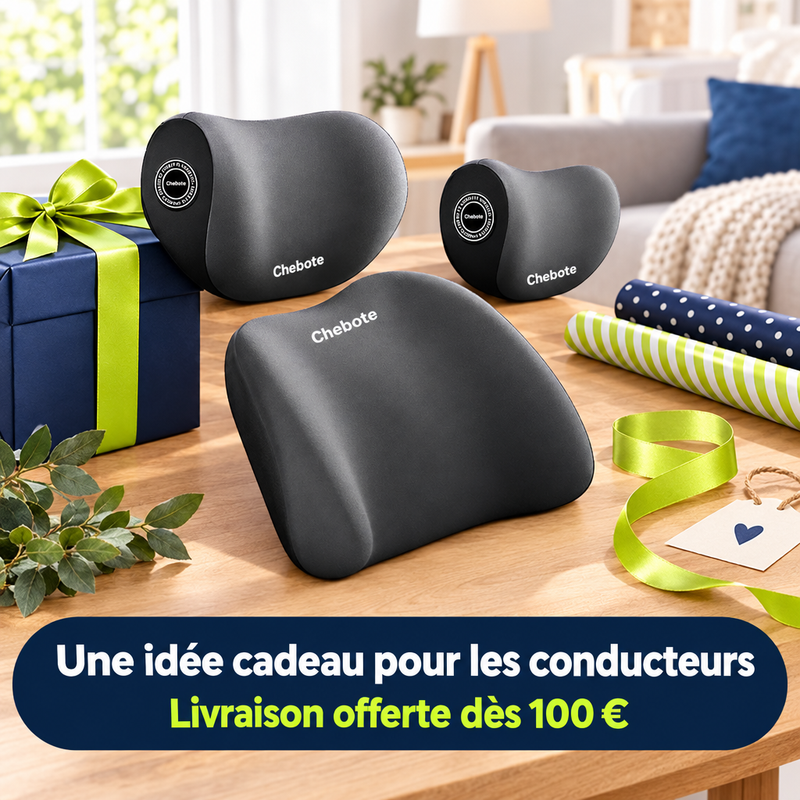 Idée cadeau pour les conducteurs : kit de coussins DriveRest, livraison offerte dès 100 €